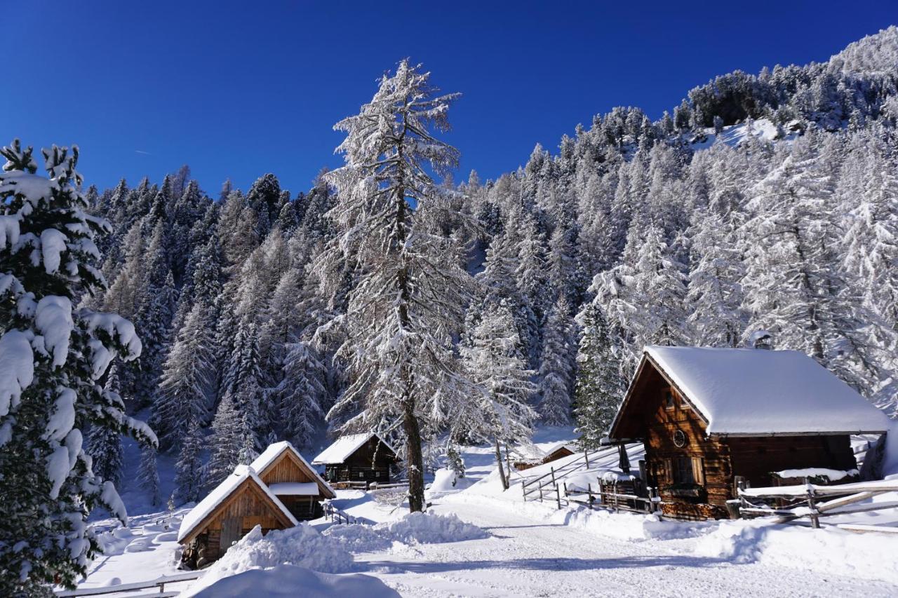 Bergheim Schmidt, Almhuetten Im Wald Appartments An Der Piste Alpine Huts In Forrest Appartments Near Slope Turracher Hohe 外观 照片