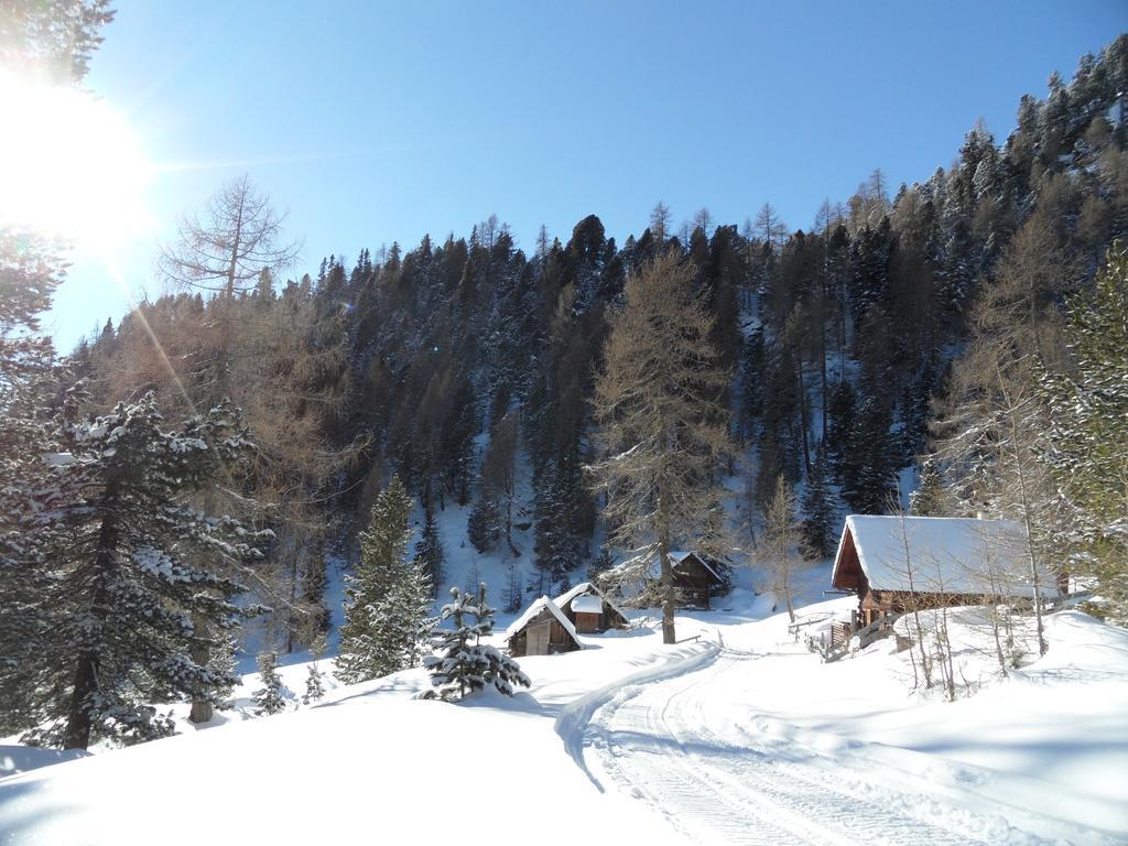 Bergheim Schmidt, Almhutten Im Wald Appartments An Der Piste Alpine Huts In Forrest Appartments Near Slope Turracher Hohe 外观 照片